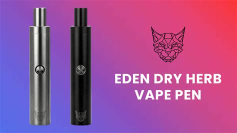 Top 5 Best THC Vape Pens 2023: Reviews and Buyer's Guide - Dosvape