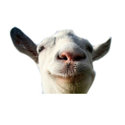 Goat PNG Transparent Goat.PNG Images. | PlusPNG