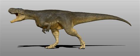 Megalosaurus by Manuelsaurus on DeviantArt