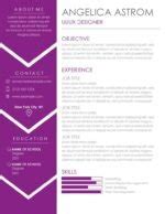 Professional Resume Templates & Free Template to Use Word-PDF