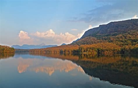 The Parambikulam Wildlife Sanctuary - The Pollachi Papyrus | Pollachi ...