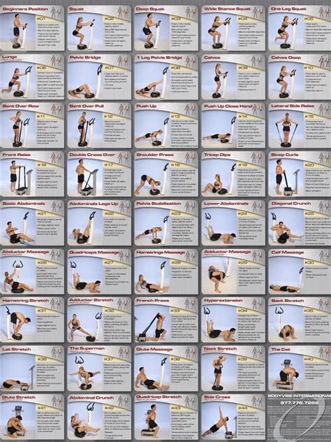 Vibefit.ca- Whole Body Vibration Exercise Chart | Vibration exercise ...