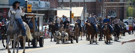 Mule Day Winfield Al 2024 - Inge Regine