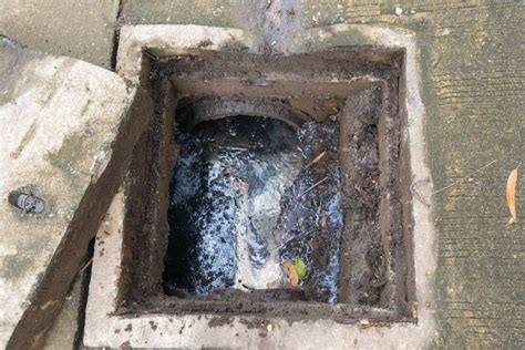 Understanding Major Causes of Drain Blockage | Drain, Home improvement, Understanding