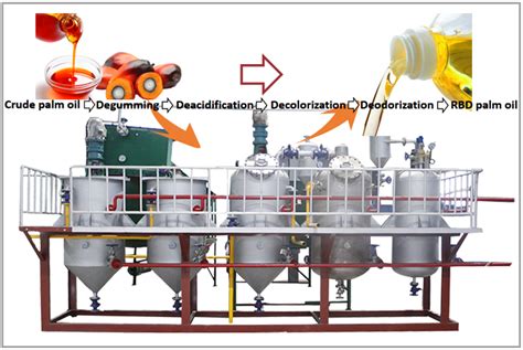 What is palm oil refining process?_Palm Oil Extraction FAQ