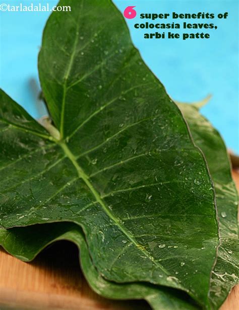 Benefits of Colocasia Leaves, Arbi ke Patte, Taro Leaves