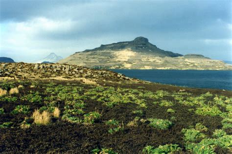 French Southern and Antarctic Lands: Seasons and Climate