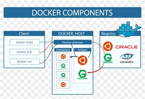 As You Can See, Docker Client And Docker Daemon Are - Docker, HD Png Download - 1600x1111 ...