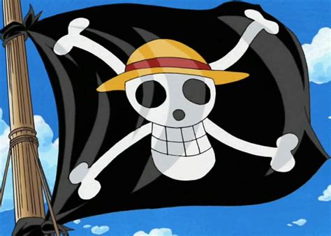 Straw Hat Pirates/Actions and Locations Visited | One Piece Wiki | Fandom