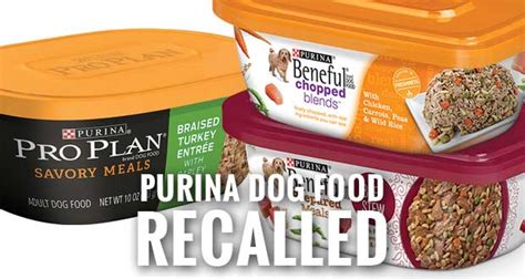 Beneful, Pro Plan Dog Food Recalled by Nestlé Purina