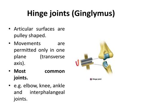 PPT - Arthrology PowerPoint Presentation, free download - ID:9677245