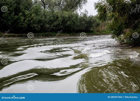 The Danube Delta Seen from the Danube River Stock Photo - Image of ...