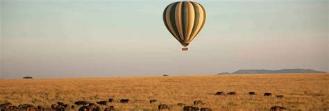 5 Day Tanzania Luxury Safari | Great Wildlife Safari