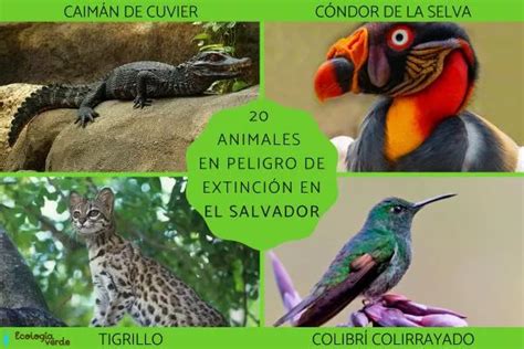 20 ENDANGERED ANIMALS in EL SALVADOR - List of names and more ...