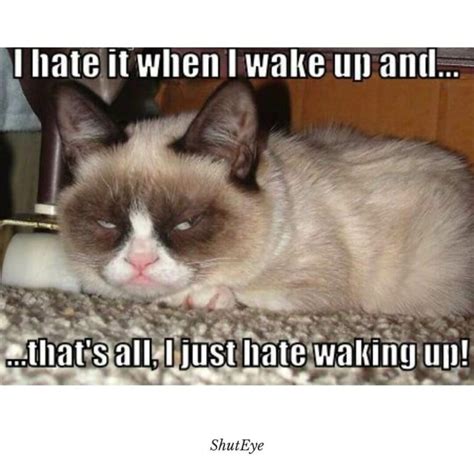 30+ Funny Waking Up Memes That Brighten Your Day - ShutEye