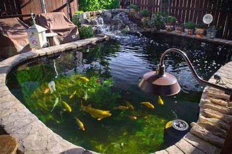 Water Features & Ponds Garden Décor Garden Filter system Pond Filter Aqua Forte Pond Waterfall ...