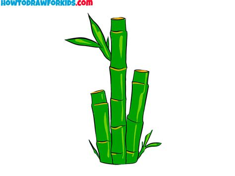 How to Draw Bamboo - Easy Drawing Tutorial For Kids