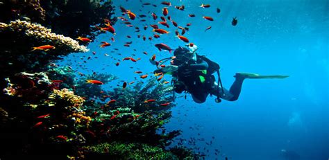 PADI Scuba Diver Course Hurghada | Egypt Divers Diving Center