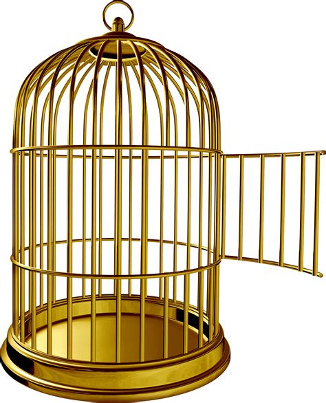 Cage clipart golden bird, Cage golden bird Transparent FREE for download on WebStockReview 2024