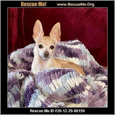 - Nebraska Dog Rescue - ADOPTIONS - Rescue Me!