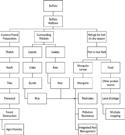 Figure 1 from An Overview of Agroecosystem and its Management ...