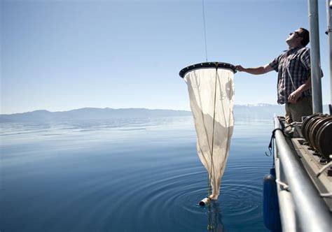 Lake Tahoe's Water Clarity Declined in 2015: - SnowBrains