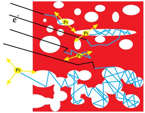 Positronium formation in polymers