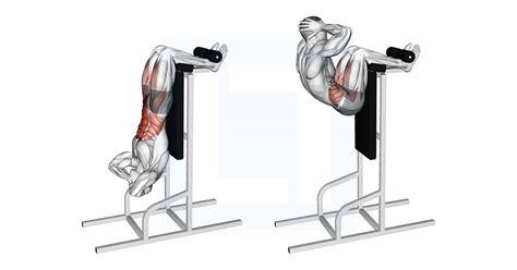 Vertical Sit-up - Guide, Benefits, and Form