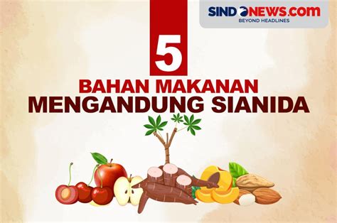 SINDOgrafis: Hati-hati saat Mengonsumsi, 5 Bahan Makanan Mengandung Sianida