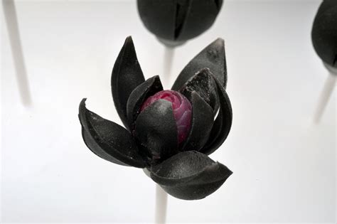 'Blossom' is an inflatable, 3D-printed flower that blooms like a balloon - The Verge