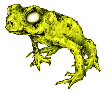 zombie frog | Flickr - Photo Sharing!