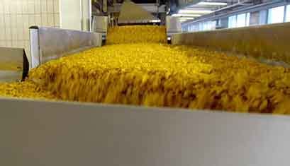 Cereal processing is a multiplex process including a list of unit processes.