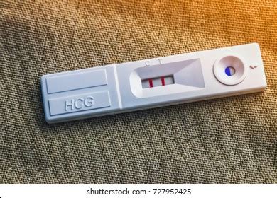 Hcg Pregnancy Test Result Positive Pregnancy Stock Photo 727952425 ...