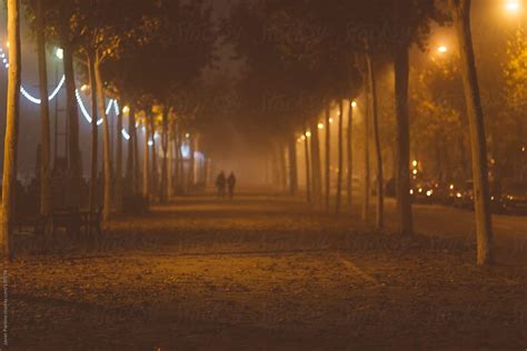 "Foggy Misty Night" by Stocksy Contributor "Javier Pardina" - Stocksy