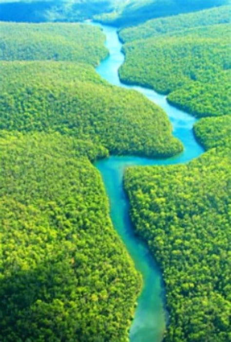 Amazon Rainforest in Brazil - From my board "Green" #Luxurydotcom ...