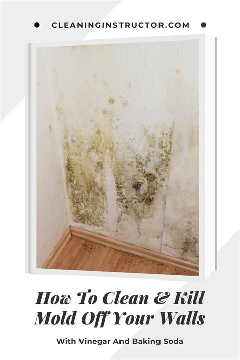 How To Clean & Kill Mold Off Your Walls With Vinegar And Baking Soda ...