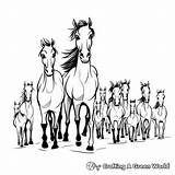 Herd Of Horses Coloring Pages  Free & Printable sketch template