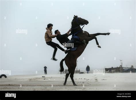 Two Palestinian ride a horse, the horse standing up on hind legs and ...