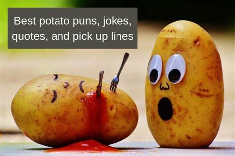 Funny potato puns, jokes, quotes and pick up lines - Legit.ng