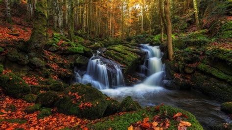 nature, Landscape, Waterfall, Forest Wallpapers HD / Desktop and Mobile Backgrounds