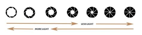 F stop Chart (Aperture Stop Chart) Explained - PhotographyAxis