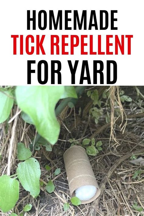 How to get Rid of Ticks in Yard Naturally | Tick repellent, Homemade ...