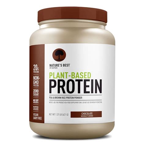 Best Plant Based Protein Powder 2024 - Jilli Lurleen