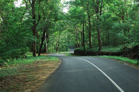 How to Plan the Perfect Road Trip between Bangalore to Kerala – Rover Holidays