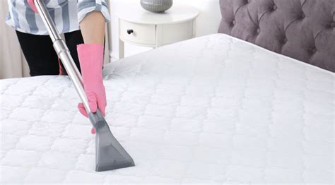 The 6 Must-Have Accessories for Every Vacuum Cleaner