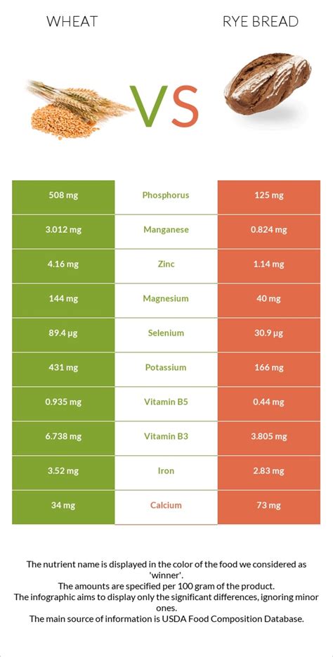 Wheat vs. Rye bread — In-Depth Nutrition Comparison