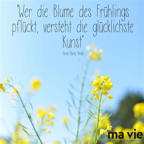 Bluten Sonne Gute Laune Wo Und Wie Entdeckt Ihr Den Fruhling Trotz Des Kalten Wetters Spruche ...