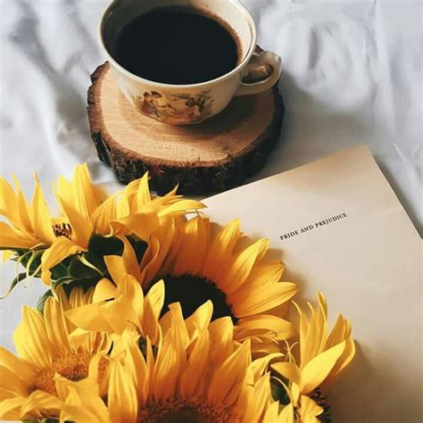 Pin by Bembel Shop Bembeltown Design on Tea & Coffee | Sunflower wallpaper, Sunflower pictures ...