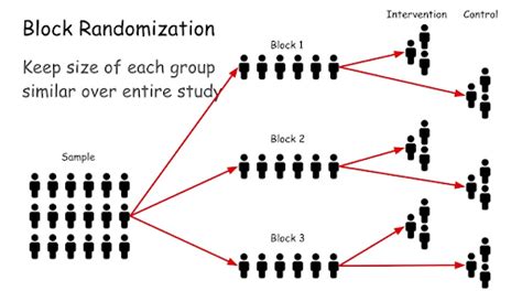 Randomization in Clinical Trials: Everything You Need to Know