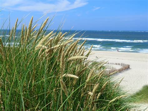 Free photo: Sylt, Beach, Germany, North, Sand - Free Image on Pixabay - 702731